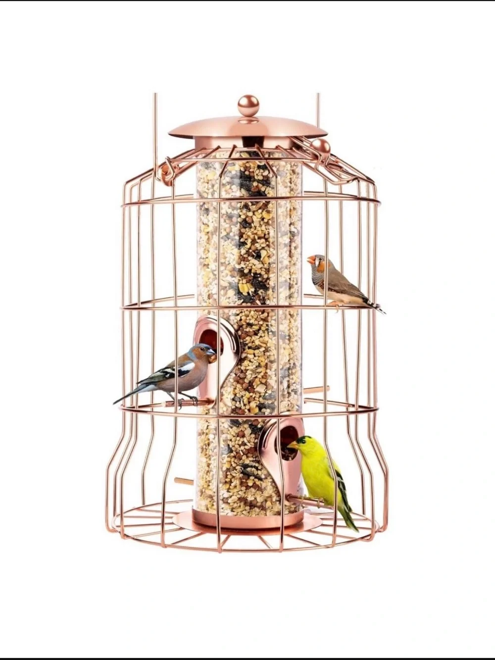 Gray Bunny Rose Gold Bird Seed Feeder Decorative Caged Tube Bird Feeder New